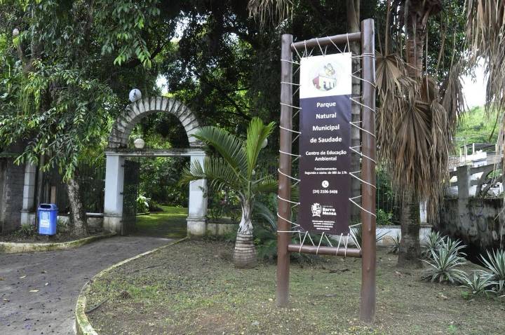 Dia Nacional da Língua Brasileira